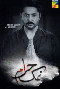 Namak Haram-Poster