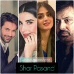 Shar Pasand Poster