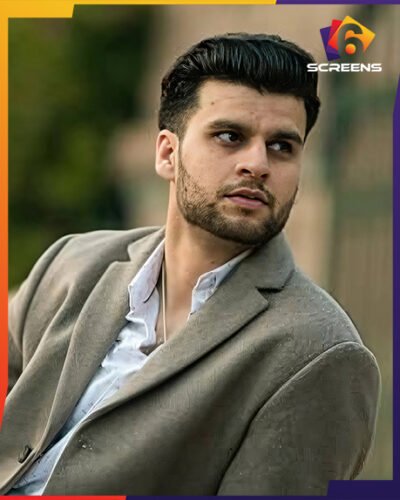 Taimoor Akbar Profile, Career Overview