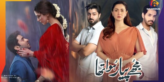 Pakistani Dramas That Failed to Impress Viewers